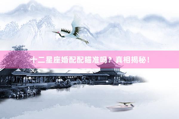 十二星座婚配配瞄准吗？真相揭秘！