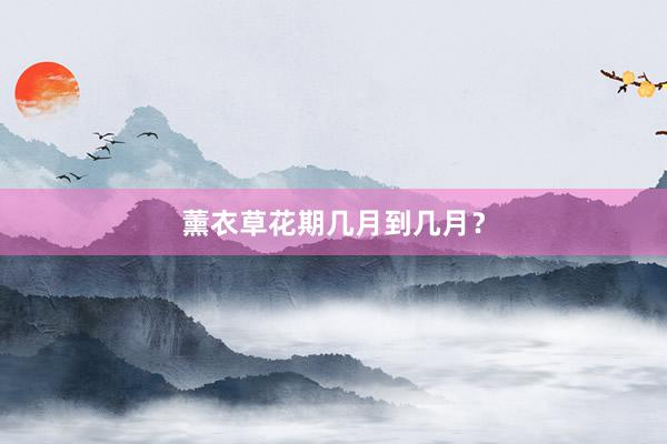 薰衣草花期几月到几月？