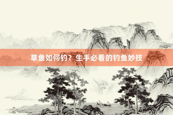 草鱼如何钓？生手必看的钓鱼妙技
