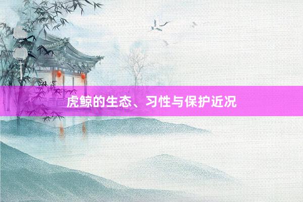 虎鲸的生态、习性与保护近况